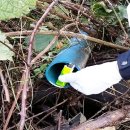 한림축산 이미지