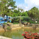 달랏(DA LAT) 이미지