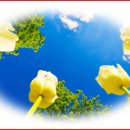 ABC자동차정비 이미지