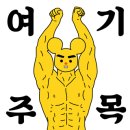 스포벡휘트니스종암 이미지