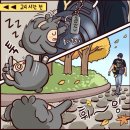 진짜루 이미지