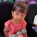 주식회사 라온 | 30개월 아기랑 대학로 연극 추천! 라온씨어터 아기돼지삼형제 내돈내산 솔직후기