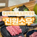 진원소우 음성혁신점 이미지