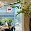 살롱,모행 | 신사동미용실 살롱,모행 위치 정보