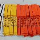 국가대표 MTA 태권도 이미지