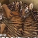 아름1농장 이미지