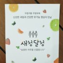 새청달청 | [수제청] 달달하고 맛있는 수제청 '새청달청' 구매후기