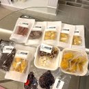 유어마이펫 이미지