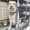 경인로9번길 이미지