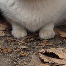 청계산 자연누리 오피스텔 | 청계산입구역 도스타코스 - 청계산입구역맛집/청계산맛집/청계산주변맛집