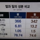 밀가루 끊기 프로젝트 이미지