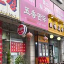 오향만두 | [연희동 맛집] 연희동 중식 만두 맛집 오향만두 포장 후기