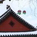 황태덕장 이미지