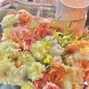 삼향북초등학교 이미지