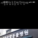 서울종합동물병원방배 이미지