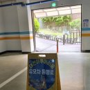 한국관복어집 | [대전여행] 대사동 아쿠아리움 가족들과 가볼만한 곳