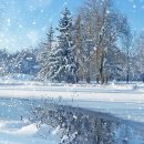 Jim Reeves - Snow Flake (1962) 이미지