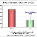 리오단클리닉의 암에 대한 연구- Tumor Study 이미지