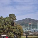 리얼뱅크공인중개사사무소 | (일상)25.11 강원도 알프스대영CC 리얼후기 [웬만하면 가지마세요. 다른곳 가세요...]