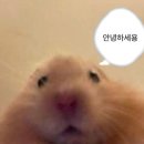 효성시티병원 | 출산후 한달차 손목통증 꼭 병원 치료받아야 될까요? (부산 기장 정형외과 효성시티병원)
