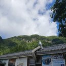 울릉향민박 티스토리