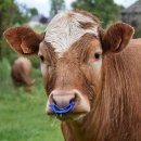 윤기형농장 이미지