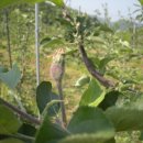 샘골농원 이미지