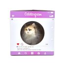 토라하우스 이미지