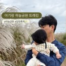 하늘공원 | [아기랑 트래킹] 아기와 함께 서울 마포 하늘공원 트래킹 후기