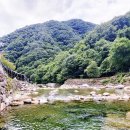 지리산예치출렁다리펜션 이미지