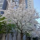 자월119치안센터 | 울산명상, 집 가까운 곳보다 내 삶의 가치를 올릴 수 있는 센터 추천!