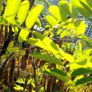 답십리공원 이미지