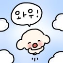 베이지프레임 네이버블로그