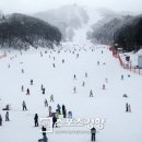 휘닉스 파크 이미지