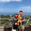 아늑한산골짜기 | 📘[디요니 생일여행 Day2] 주문진 소돌해변의 여름, 향긋한 커피와 따뜻한 바베큐