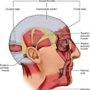 신세계재활의학과의원 이미지