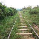 올레길 산림형 2코스 이미지