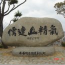 목포막회