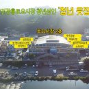 돌아온속초홍게 네이버블로그