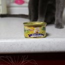 르샤보떼 이미지