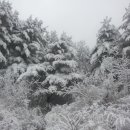 수천농장 이미지