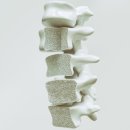 센텀정형외과의원 이미지