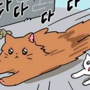 큐티멍 이미지