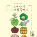 나니이모