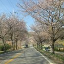 당산4리 마을회관 이미지