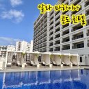 여주-0205 | 오키나와 아이랑 숙소 알라 마하이나 콘도 호텔 수영장 및 조식