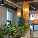 도도리파크(실내) 이미지