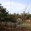 충남농산 네이버블로그