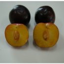 EN바이오 이미지