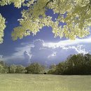 바람과 구름 이미지